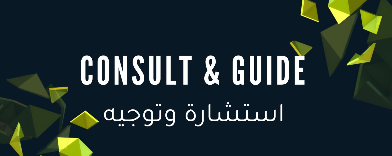 Consult & Guide